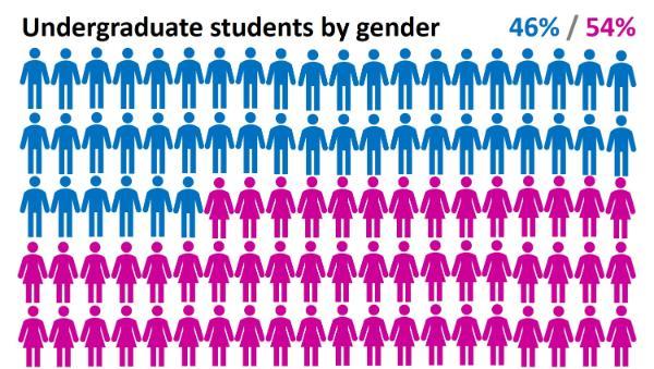 Undergraduates by gender 46 percent male and 54 percent female