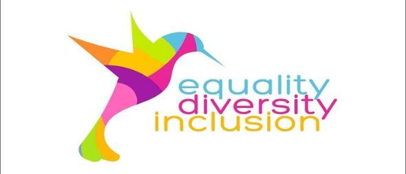 Equality, diversion, and inclusion 700x300