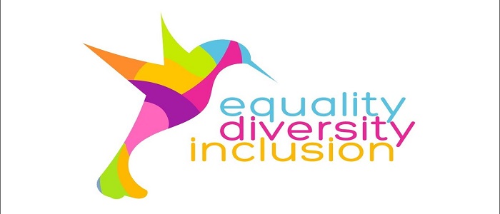Equality, diversion, and inclusion 700x300