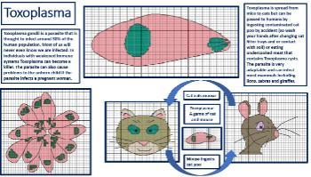 Parasite cross stitch Toxoplasma