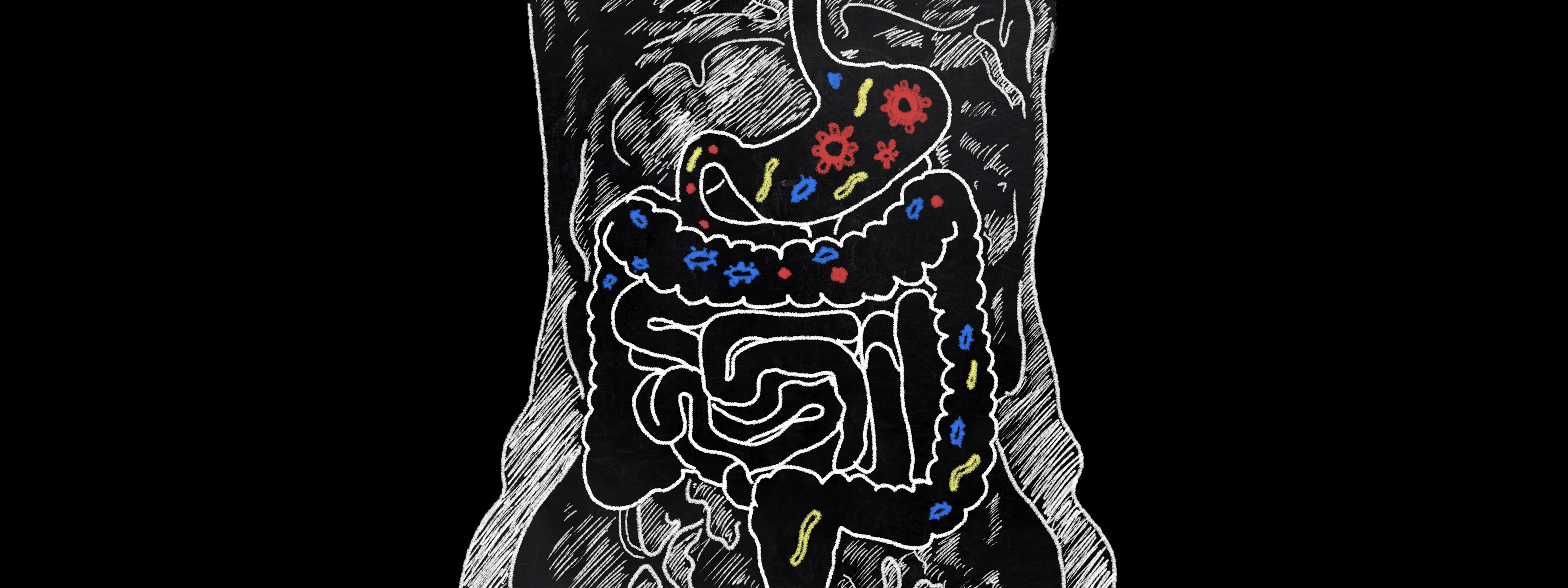 Image of gut bacteria on blackboard