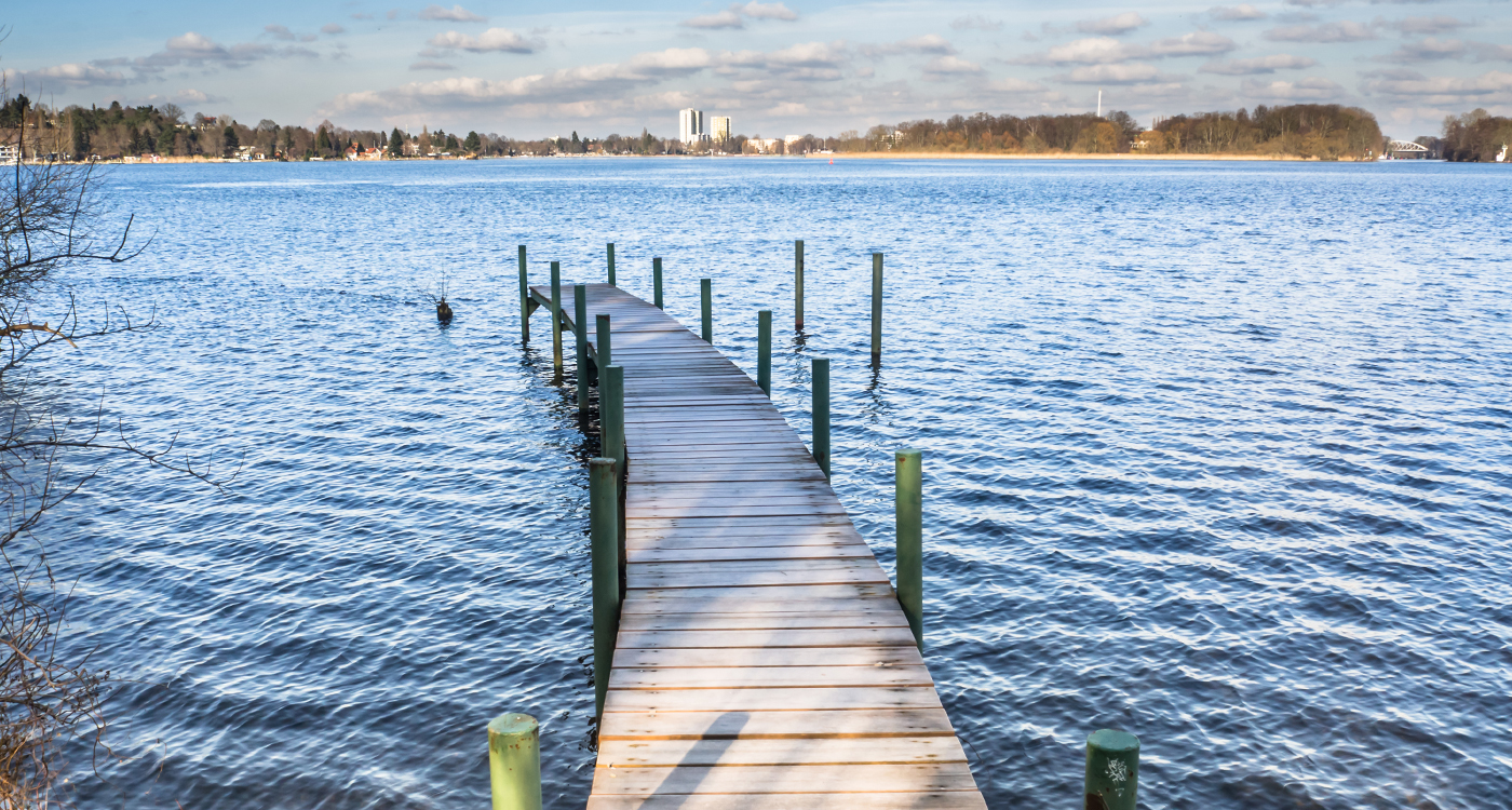 Grunewald forest (photo: Shutterstock)