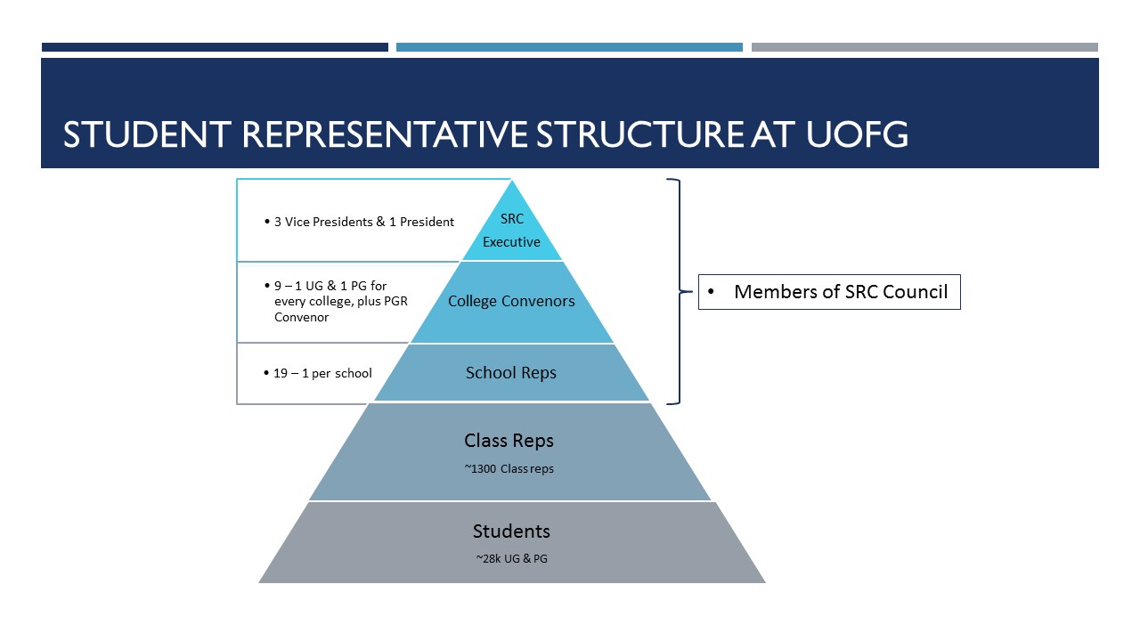Pyramid showing levels of student representation 