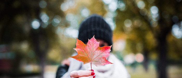 A woman holding a maple leaf up to the camera