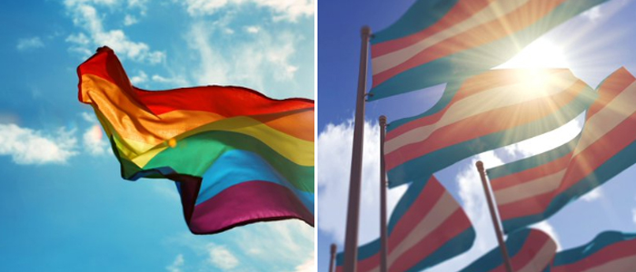 Photos of LGBT+ and trans flags