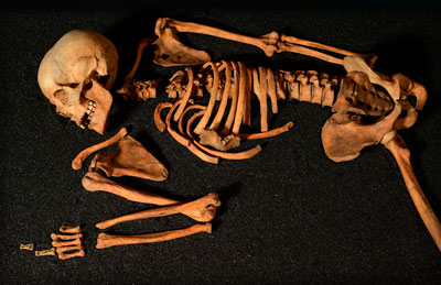 Human skeleton found on Tiree