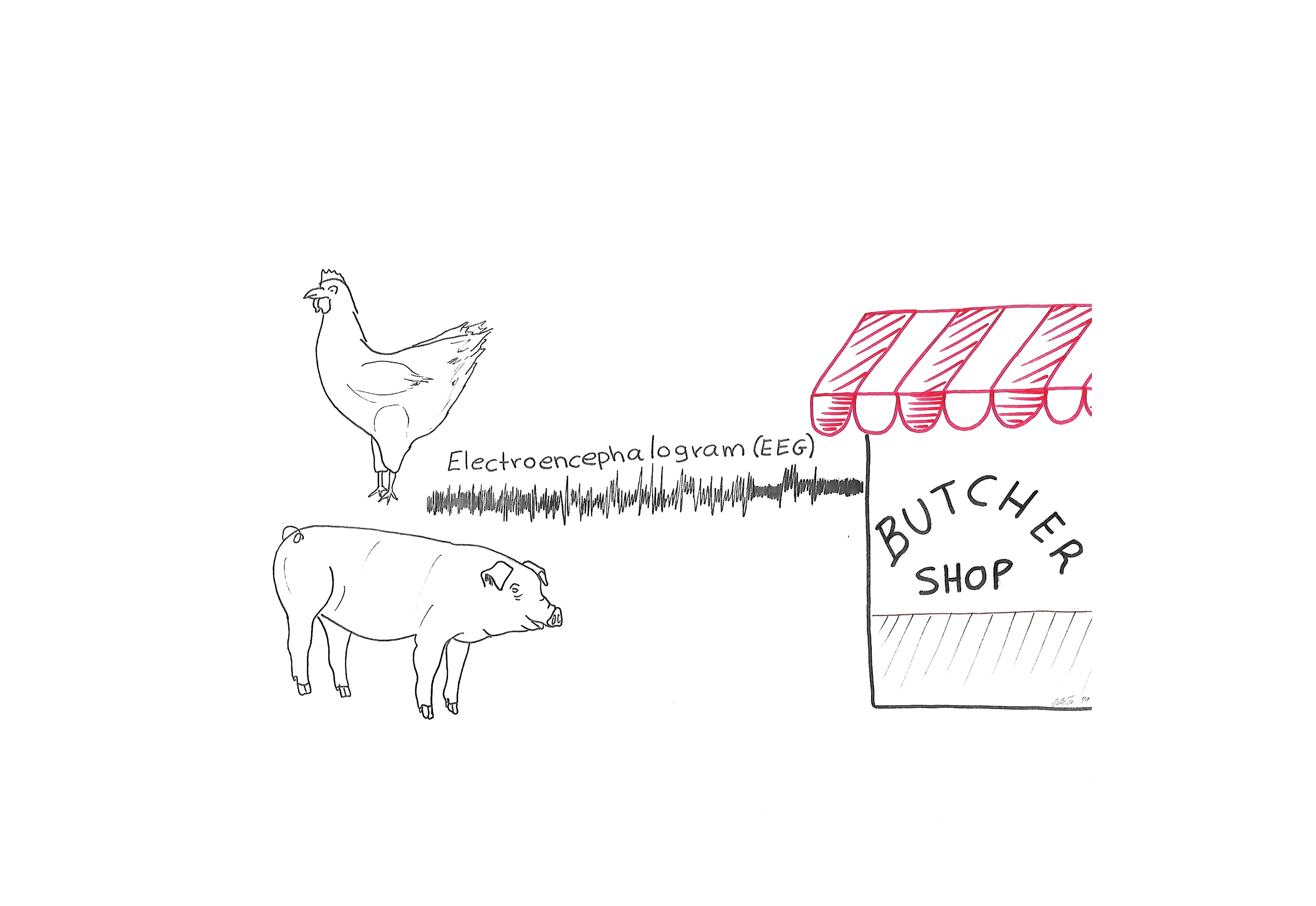 a drawing of a chicken, pig and a building with Butcher Shop written on it