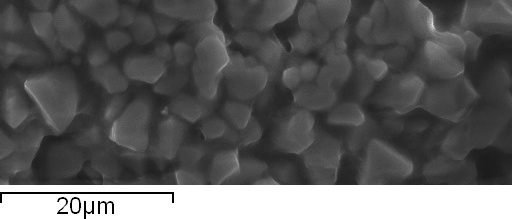SEM image of lead sulfide quantum dots