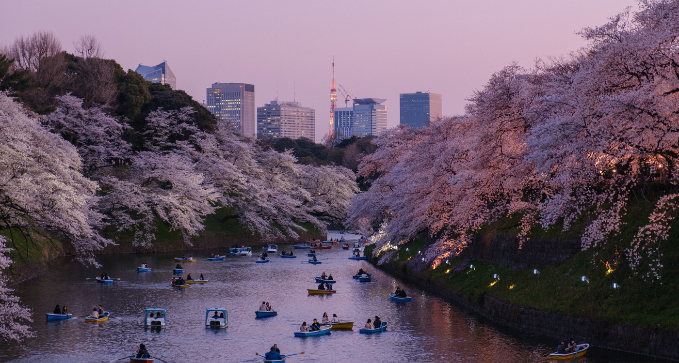 Tokyoites out enjoying the river during hanani (cherry blossom viewing) season (photo: Yu Kato, Unsplash).