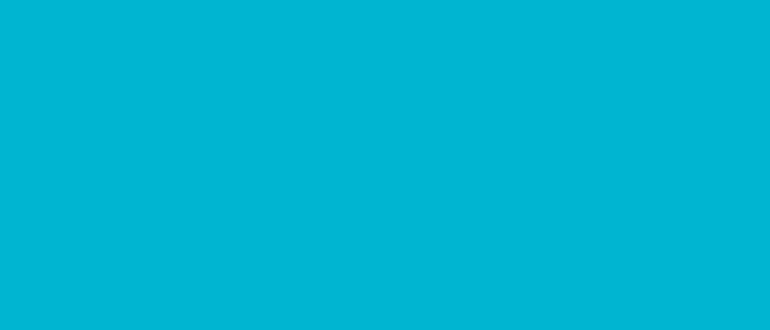 Turquoise colour block