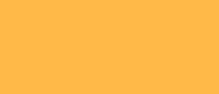 Pumpkin Colour Block