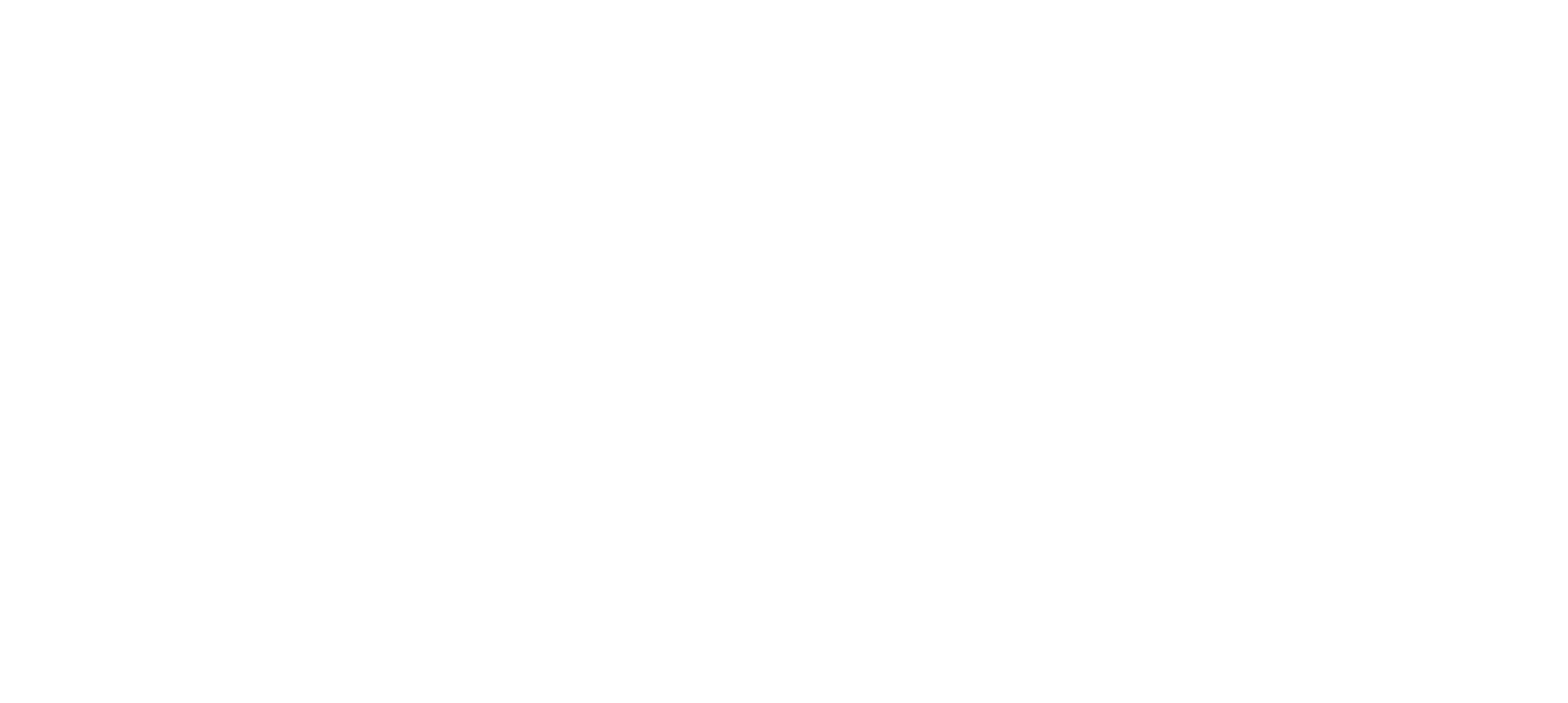 Biomage logo