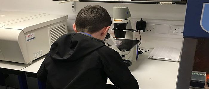 Image of a Person in Lab
