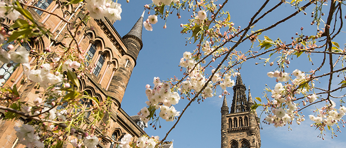 The South front of the University with blossom trees in Spring