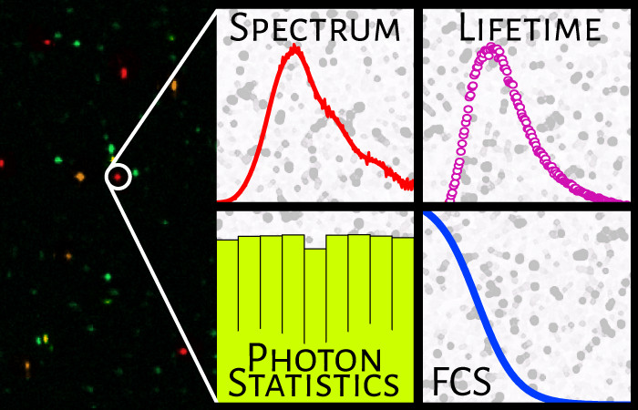 Overview of Hedley lab research (text saying spectrum, lifetime, photon statistics and FCS)