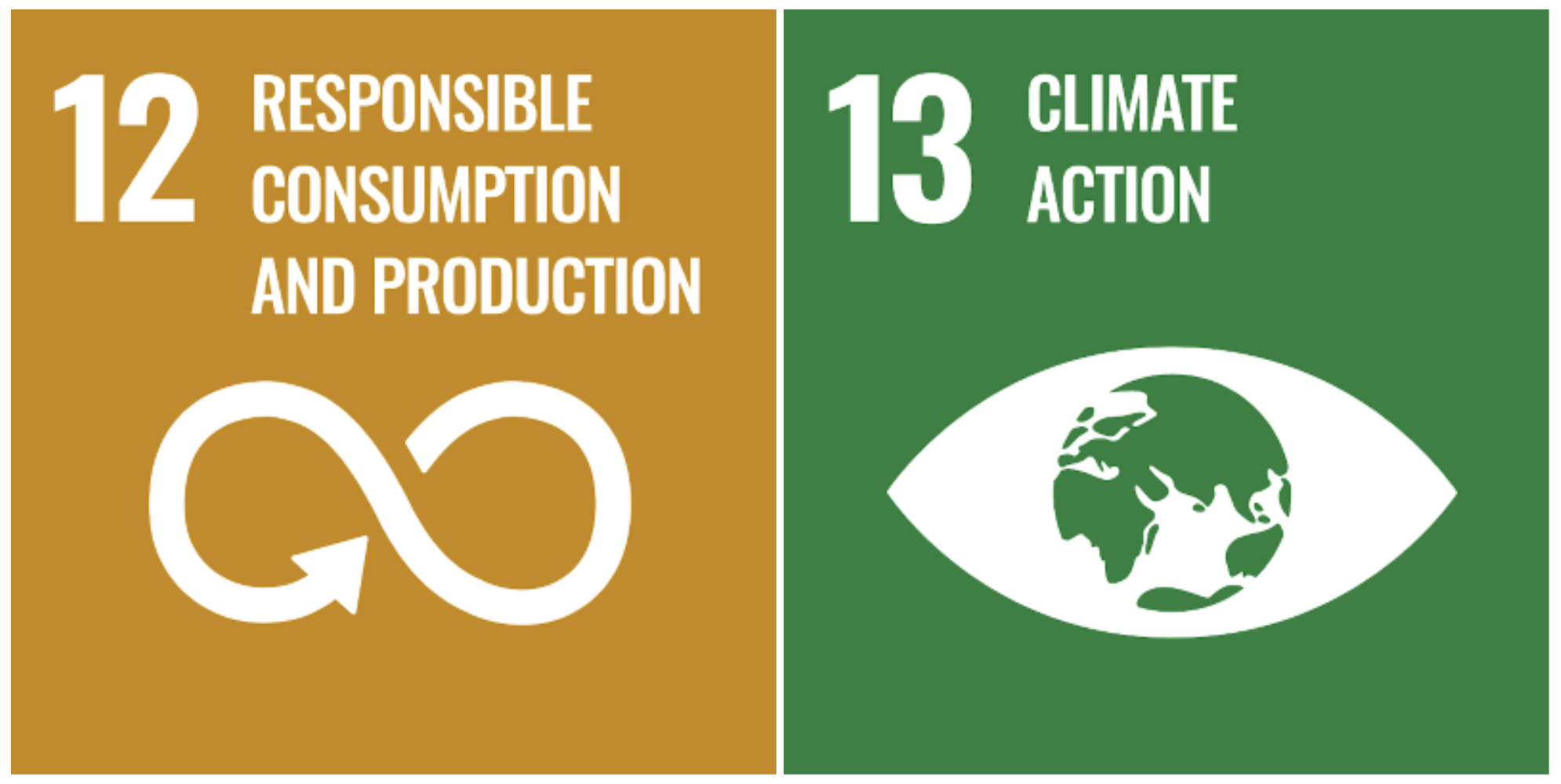 Juneyna's Sustainable Development Goals