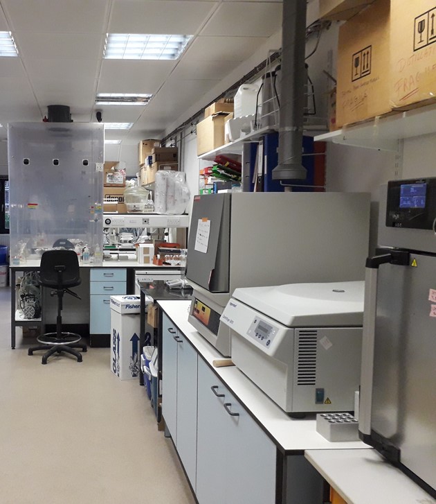 The BECS Preparation Lab