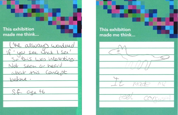Two green comment cards reading: 'I've always wondered if you see what I see so this was interesting. not seen or heard about this concept before. Signed: S.F. age 46'. and '[a pencil drawing of a fox] it made me feel confused'