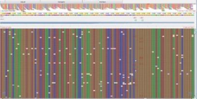 Whole genome sequencing