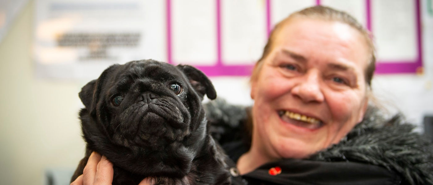 Photograph of a black pug visiting the Trusty Paws clinic with her owner