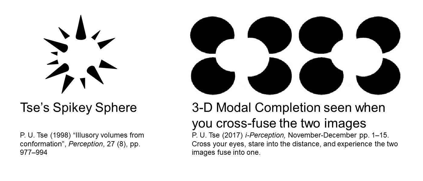 First image: Tse’s Spikey Sphere: black conical spikes of different sizes arranged in a circular fashion on a white background so that the negative space looks like a white or invisible sphere. Second image: 3D Modal Completion: 4 black circles in a square formation (two by two lines) with semi-circular bits of 2 sizes missing so the negative image looks like a 3D tube in front of the circles