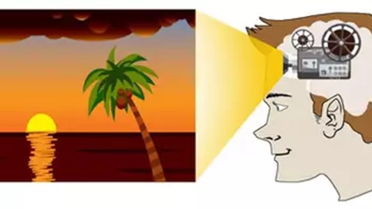 drawing of a screen with a tropical sunset over an expansive body of water, framed by a palm tree; the screen is projected on by a small projector located in the brain of a cartoon white male head faacing the screen