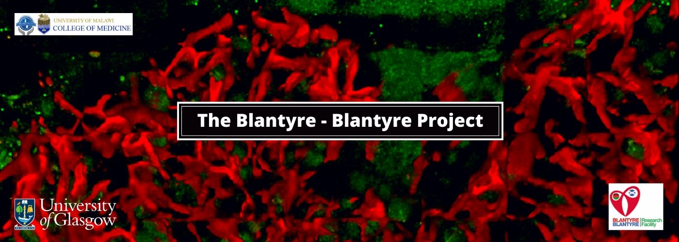 Blantyre - Blantyre Header Image