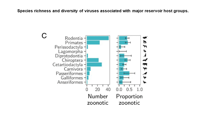 A chart showing a proportion of species that are zoonotic