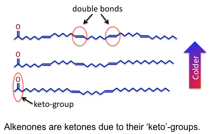 Alkenone