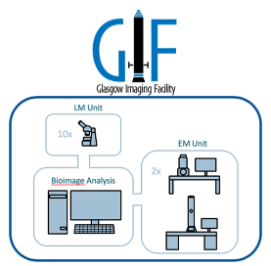 Glasgow Imaging Facility schematic