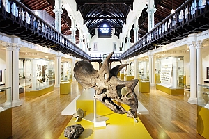 Hunterian interior © The Hunterian Museum and Art Gallery, University of Glasgow.
