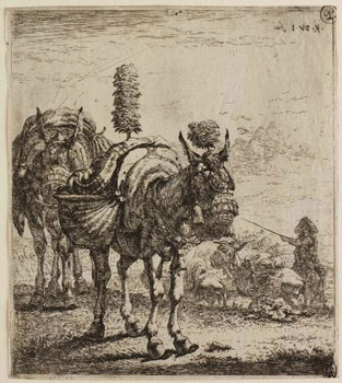 Karel du Jardin, Two Mules, Etching, c. 1650.