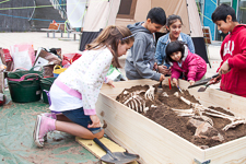 Photograph showing several children digging through a box and revealing animal skeletons. 