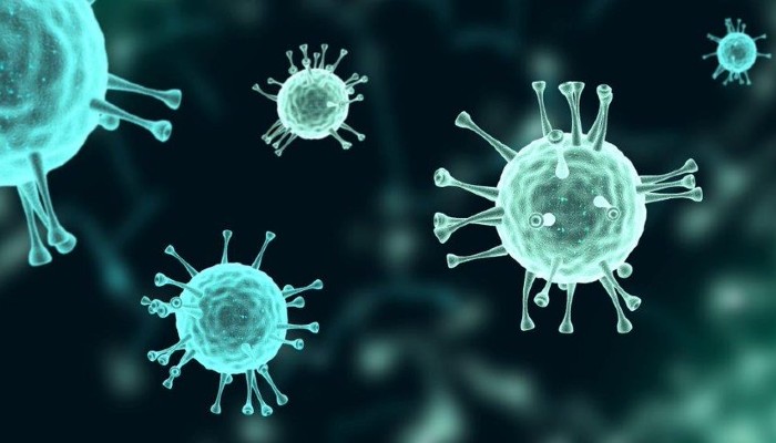 coronavirus cells