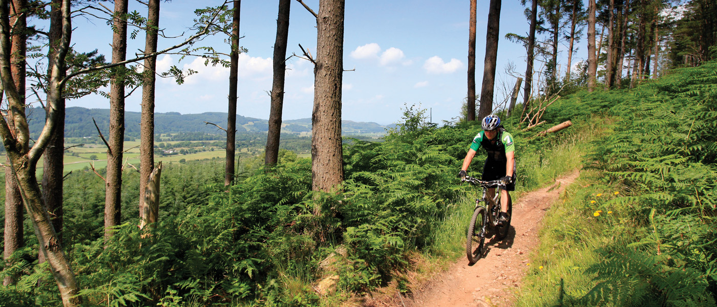 cyclist on a nature trail