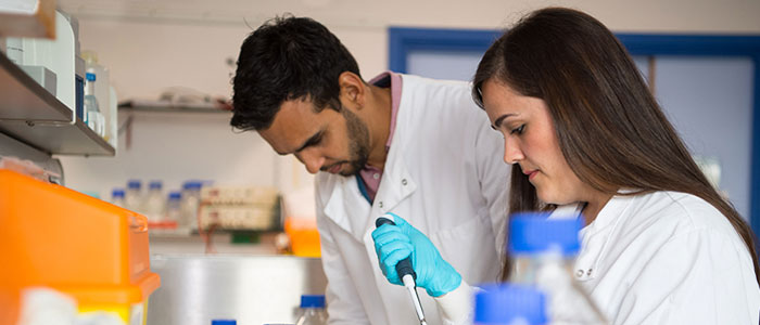 Image of researchers working in lab