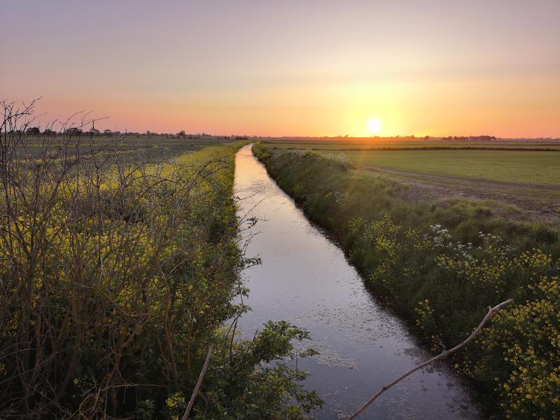 View across the drainage landscape of the Levels