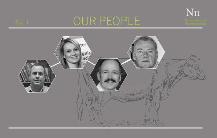 Neuroscience our people header pic