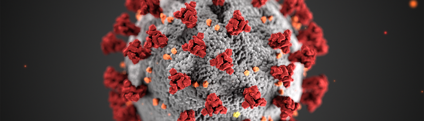 Grey and red covid-19 virus