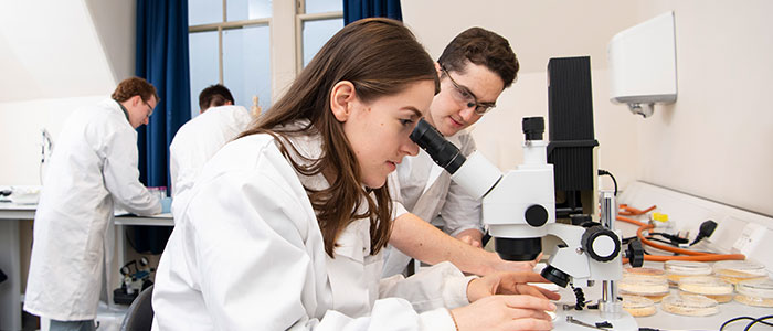 Students looking in a microscope