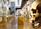 Hunterian museum