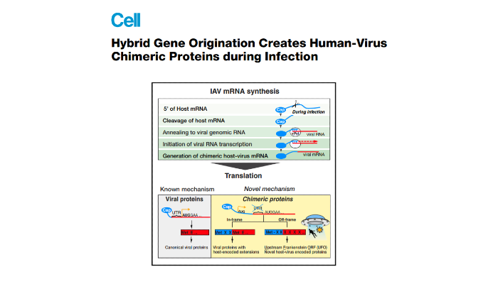 The graphical abstract from the paper in Cell