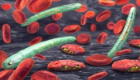 A graphic showing red blood cells
