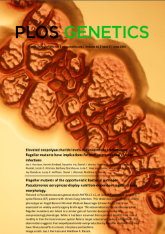 PLOS Genetics June 2020 cover