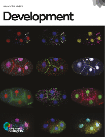 The front cover of the journal Development from July 2020
