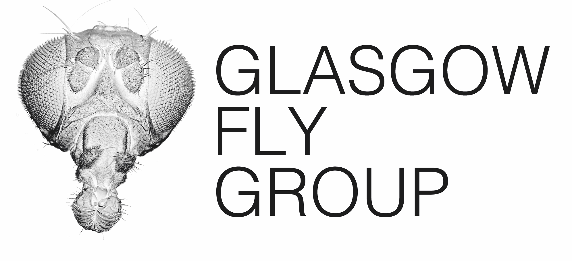 Glasgow Drosophila Group