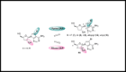 Figure from the research paper Structure–Activity Relationship Exploration of 3′-Deoxy-7-deazapurine Nucleoside Analogues as Anti-Trypanosoma brucei Agents