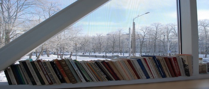 Books on a shelf with a snowy scene outside the window
