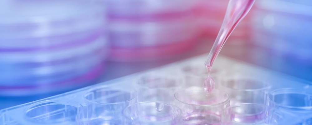 close up of lab equipment