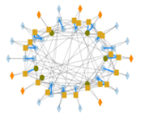 Picture - disease model 